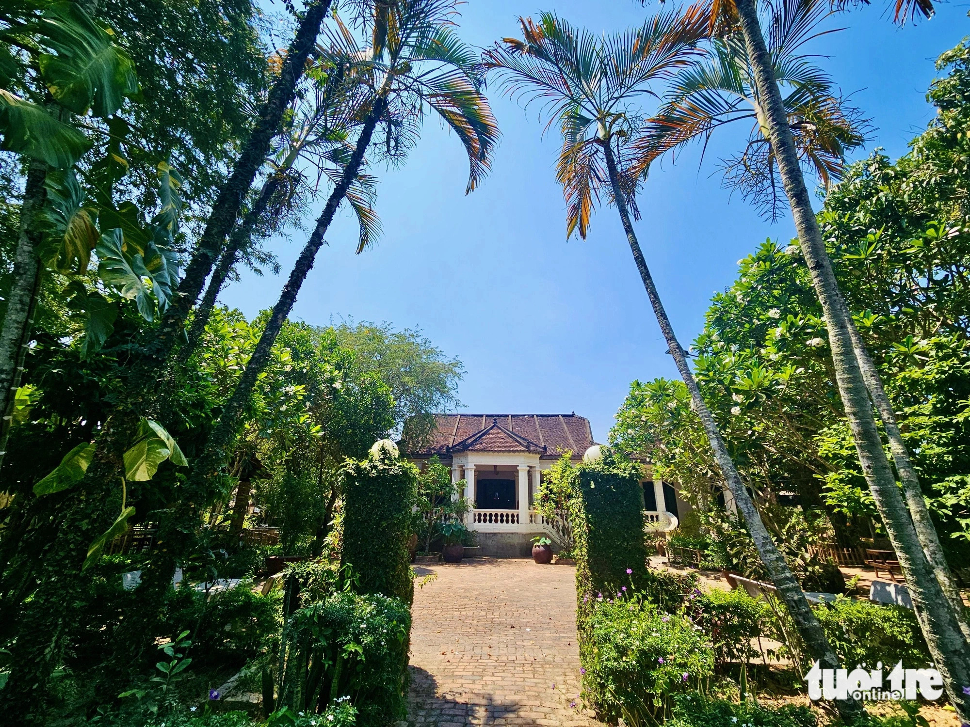 A peaceful and poetic scene in the outskirts of Nha Trang, a tourist city in Khanh Hoa Province, south-central Vietnam. Photo: Minh Chien / Tuoi Tre