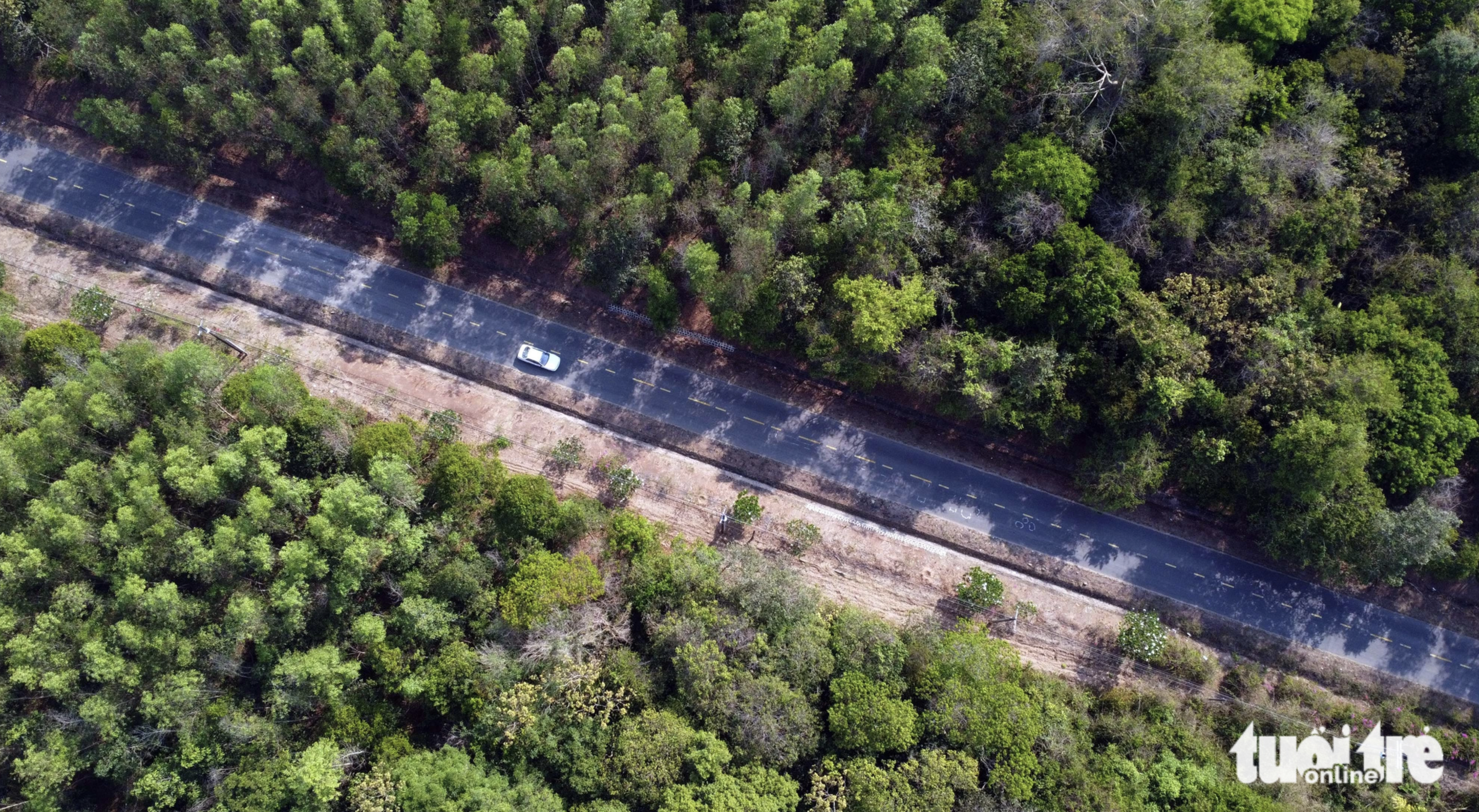 Apart from visiting the lake, tourists can drive across a vast forest to reach the Dong Nai Cultural Nature Reserve. Photo: A Loc / Tuoi Tre