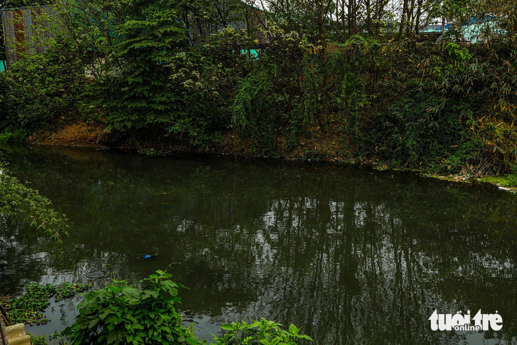 The Bac Hung Hai irrigation canal, which runs through many parts of Hung Yen Province, northern Vietnam, is polluted with wastewater. Photo: Tuoi Tre