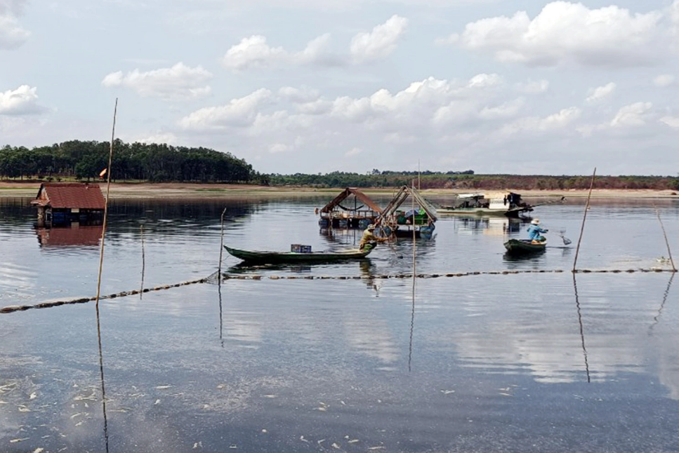 Dead fish removed from Song May Reservoir in Dong Nai Province, southern Vietnam. Photo: M.T. / Tuoi Tre