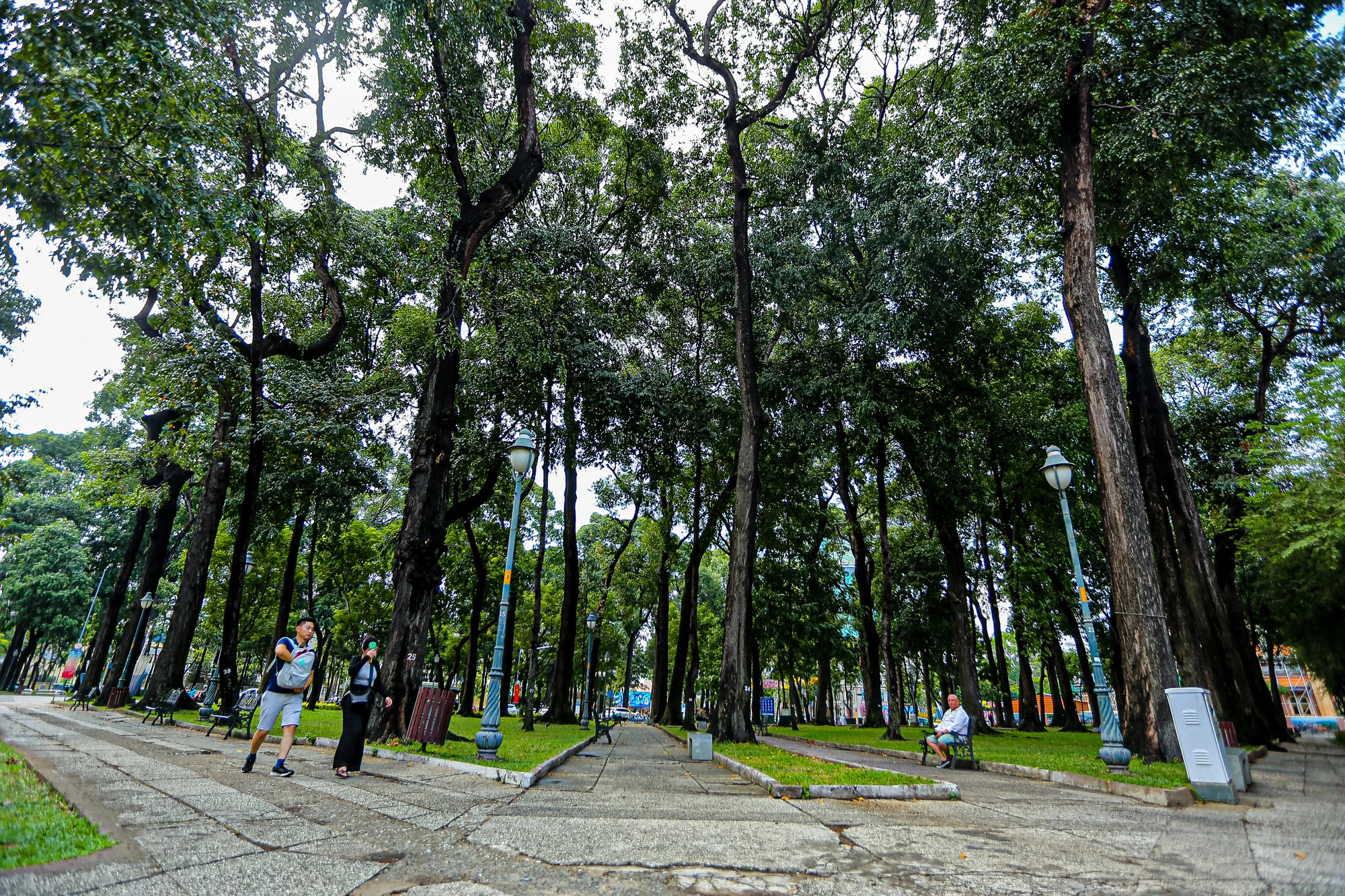 With its giant shady trees and cool air, the April 30 Park is favored by young people and tourists who gather to take photos, enjoy street coffee, relax and chat under the trees on hot days. Photo: Phuong Quyen / Tuoi Tre