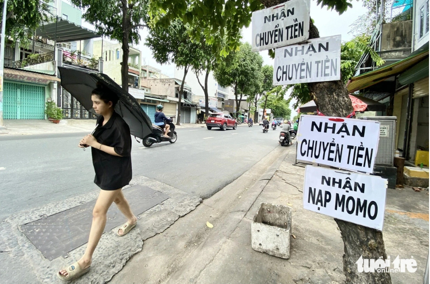 Signboards are attached to a tree. Photo: Tien Quoc / Tuoi Tre