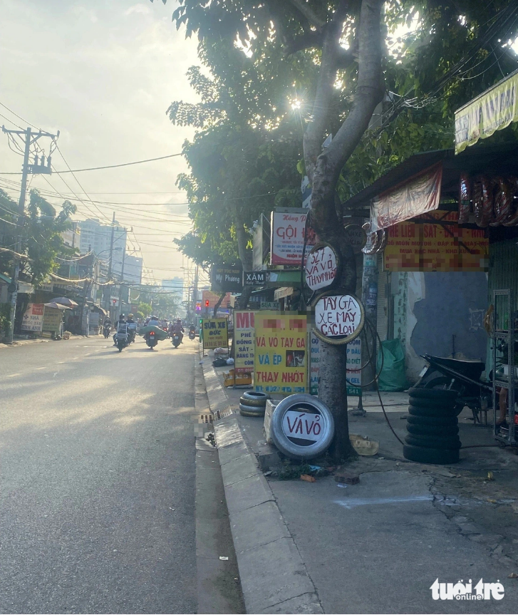 Many sign boards are hung on a tree on Thoai Ngoc Hau Street in Tan Phu District, Ho Chi Minh City. Photo: Hong Diep / Tuoi Tre