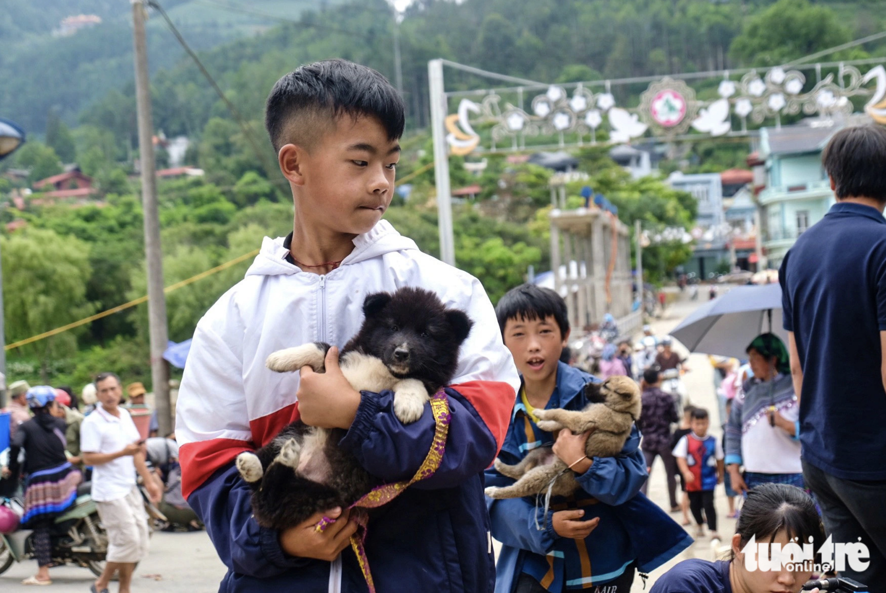 Hundreds of dogs in all sizes are put on sale at Bac Ha Market in Lao Cai Province on Sundays.