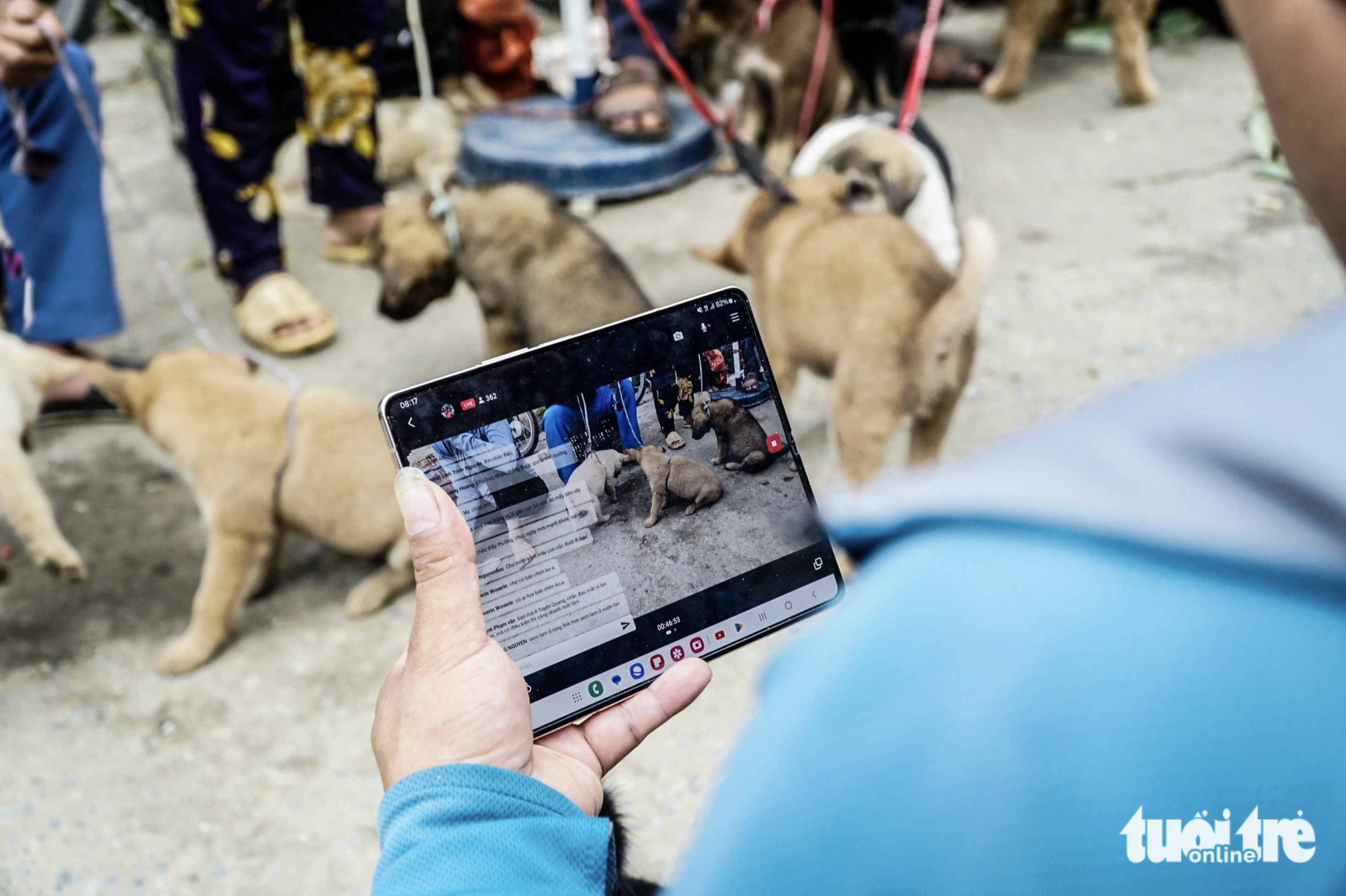 Dogs sold online at Bac Ha Market in Lao Cai Province.