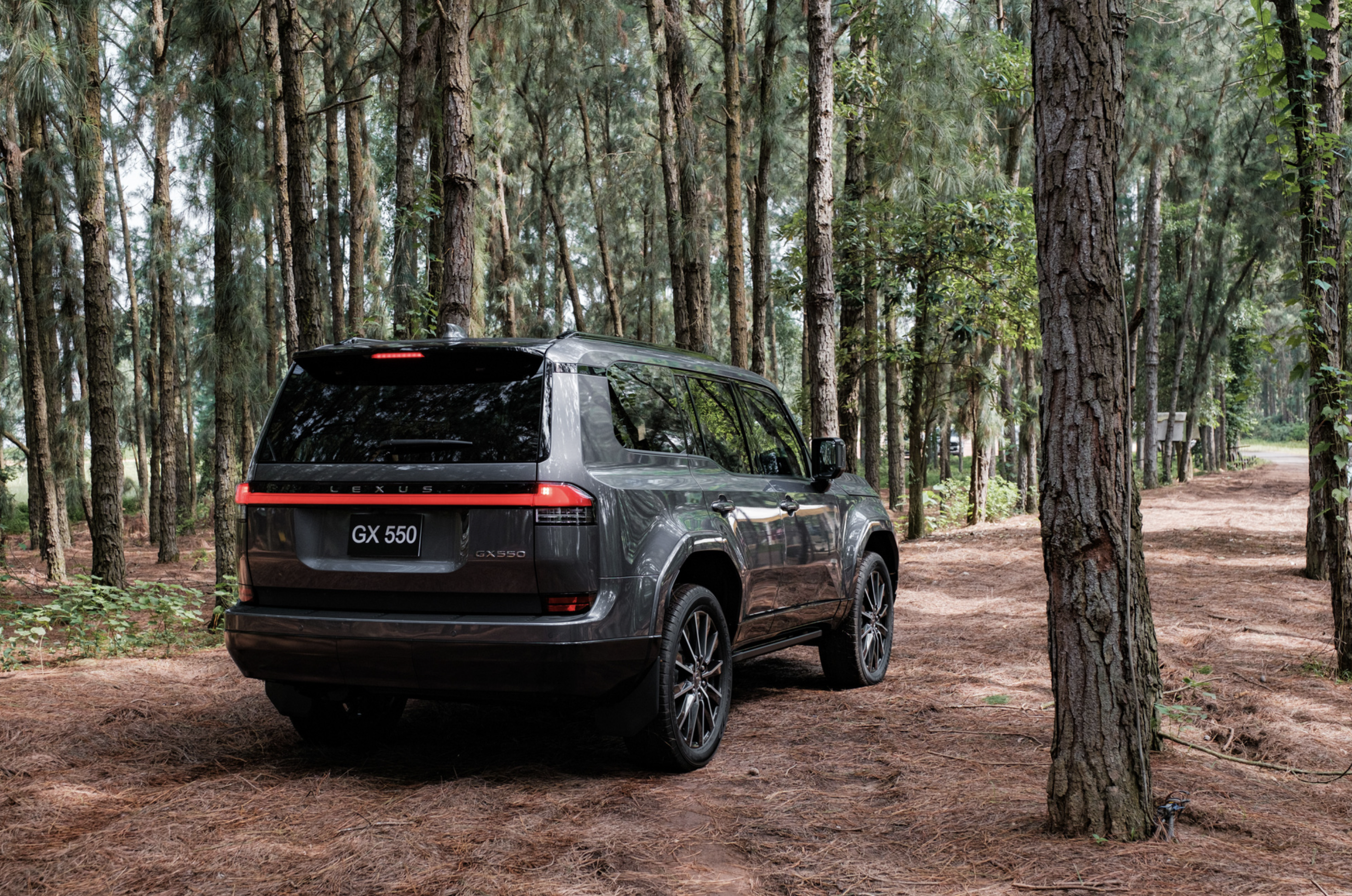 The Lexus GX 550 with a panorama glass roof is available in Hanoi and Ho Chi Minh City, while the Lexus GX 550M with a single glass roof is set to enter Vietnam in September, 2024. Photo: Lexus