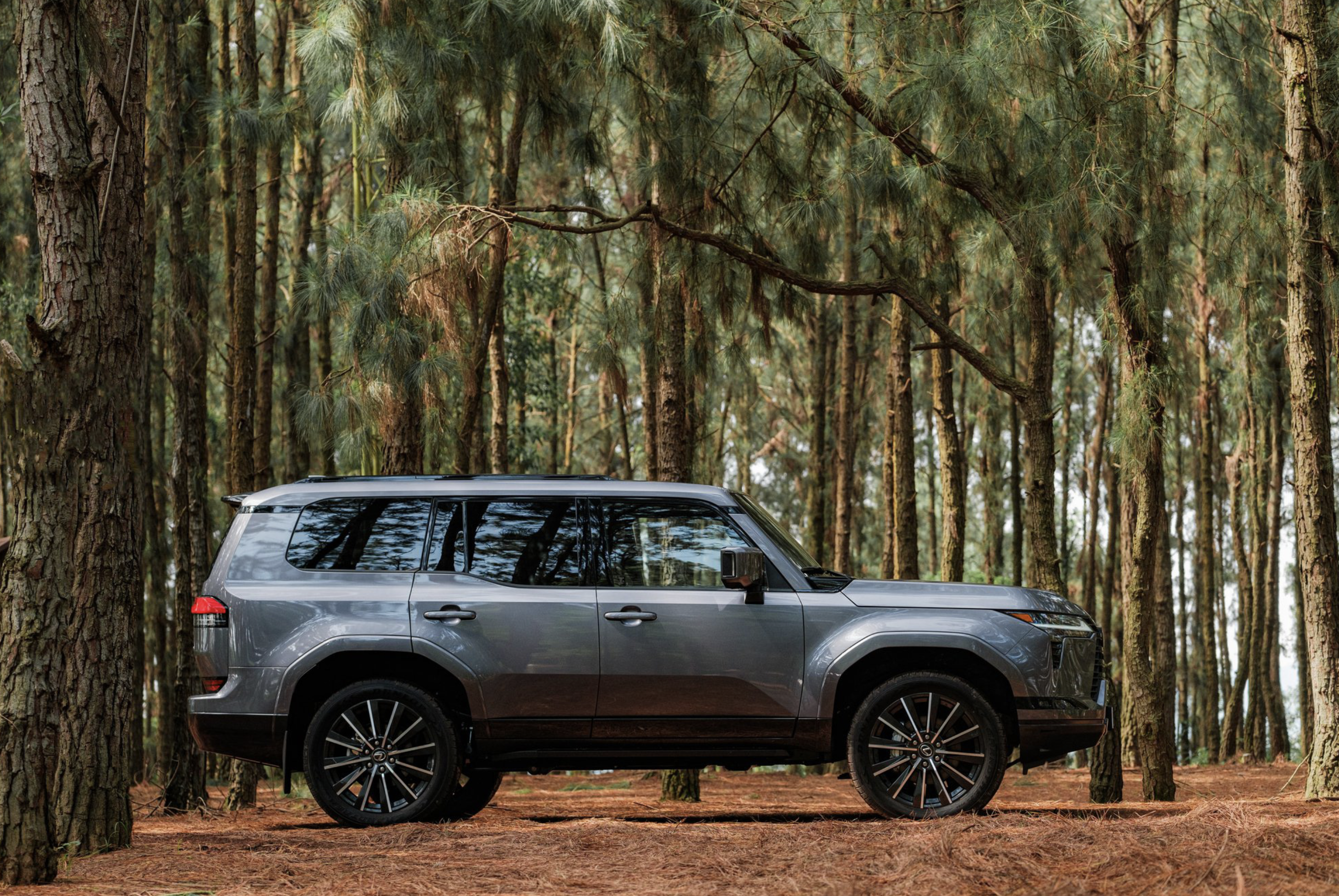 The model measures 4,960 mm long, 1,980 mm wide and 1,865mm high. Photo: Lexus