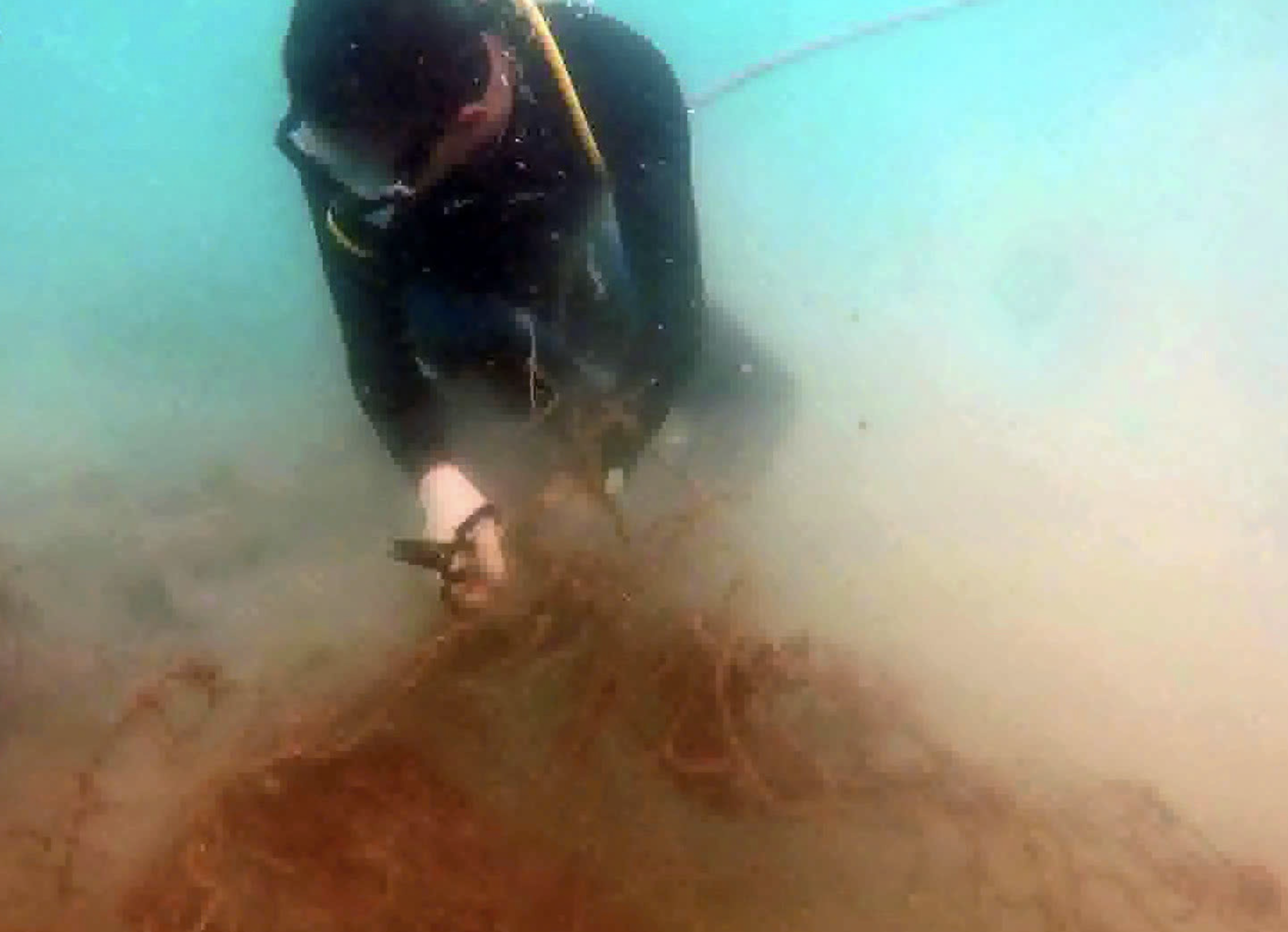 A diver cuts a fishing net into pieces to rescue a coral reef off Con Dao Island. Photo: Supplied
