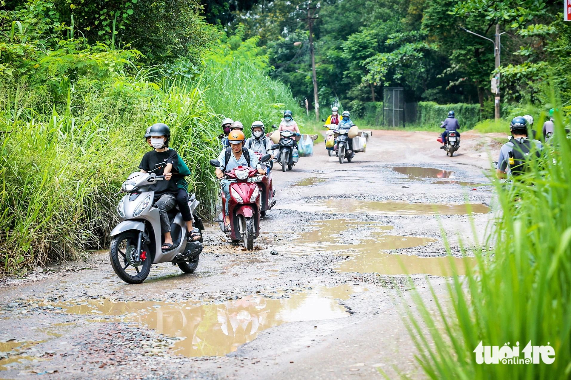 A road linking Nong Lam University with the VNU-HCM urban area is full of potholes. Photo: Chau Tuan / Tuoi Tre