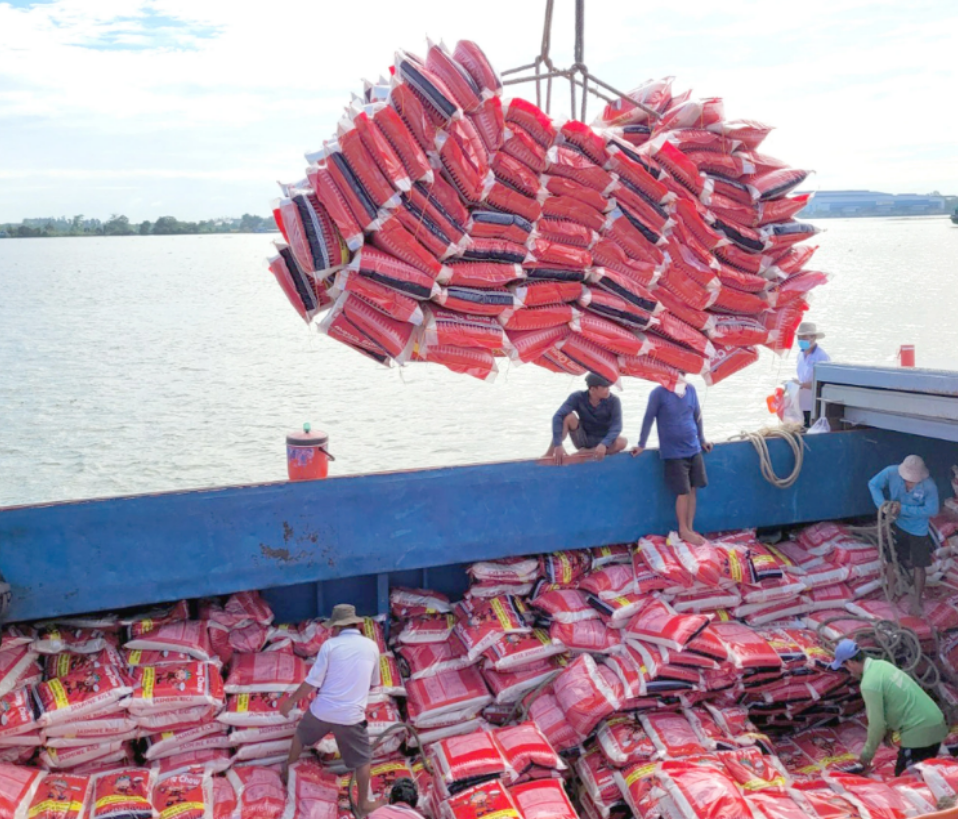 Workers load bags of rice onto a ship for export at My Thoi Port in Long Xuyen City, An Giang Province, southern Vietnam. Photo: Buu Dau / Tuoi Tre