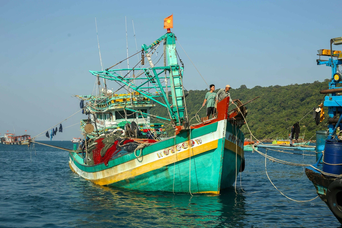4 Vietnamese fishing captains fined over $34,000 for IUU violations- Ảnh 1.