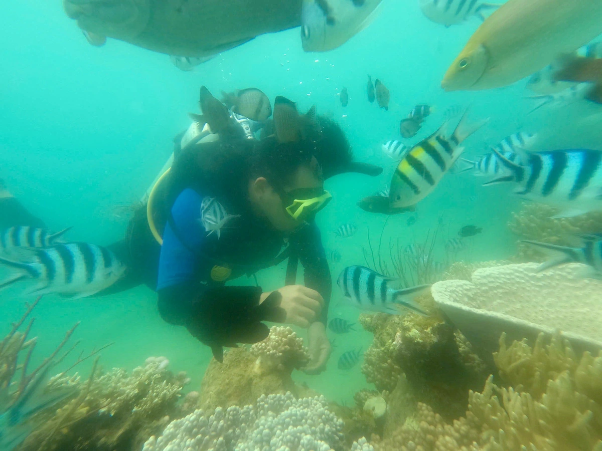 A technician checks coral branches. Photo: Xuan Vu / Tuoi Tre