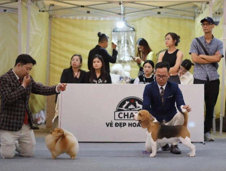 One of the pet-related events dedicated to building a positive and sustainable environment for pets and pet owners in Vietnam. Photo: Organizer of InterPetFest 2025