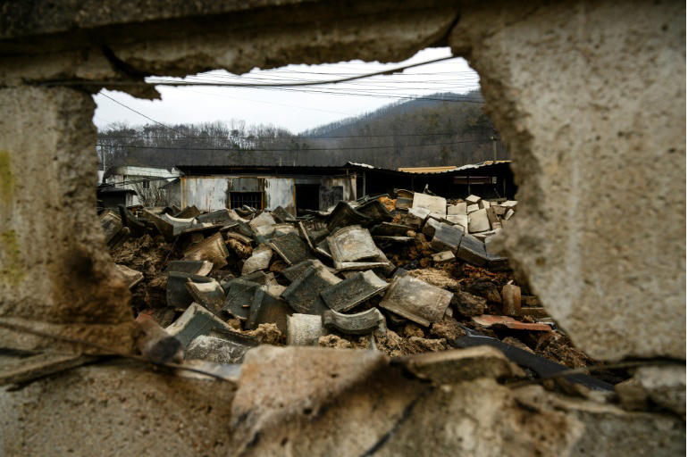 A destroyed property in Cheongsong after being ravaged by fire. Photo: AFP