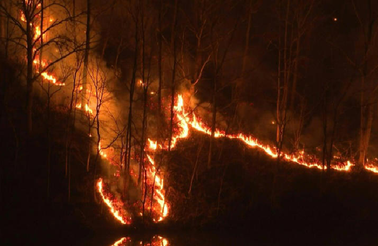 South Korea's largest wildfires tear through mountains. Photo: AFP