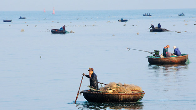 Thuyền thúng, thuyền máy với phao nổi, lưới chìm của ngư dân giăng khắp các luồng tàu vào cảng Chân Mây (ảnh chụp lúc 7g ngày 29-1) - Ảnh: Trần Dương