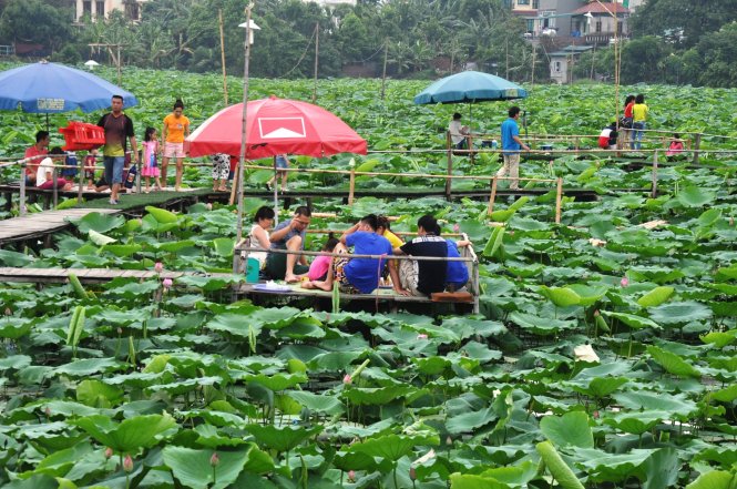 Dịch vụ chụp ảnh và ăn uống tại đầm sen