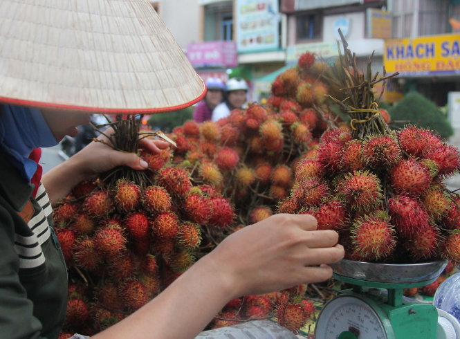 Chôm chôm được cột thành từng bó với nhiều cành để tăng trọng lượng khi bán    Ảnh: DUYÊN PHAN