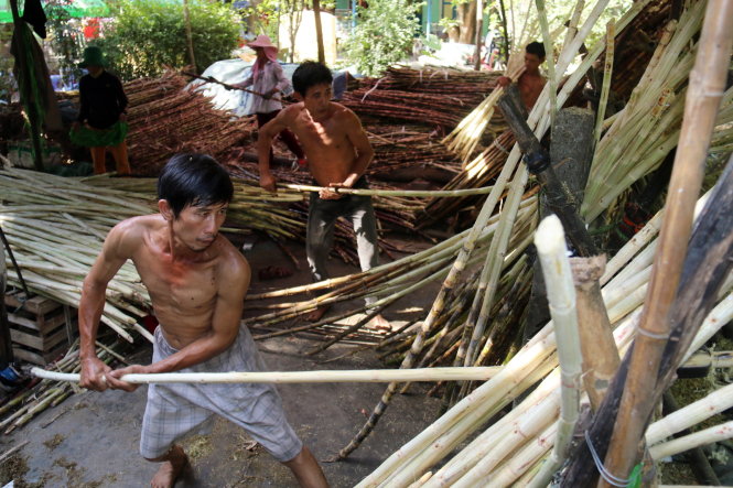đội cạo vỏ mía tại số 2 Lâm Mộng Quang (TP Huế) phải làm xuyên trưa để cung cấp gần 10.000 cây mía sạch vỏ mỗi ngày
