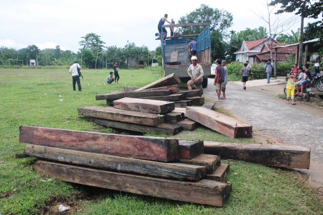 47 phách gỗ lậu được cơ quan chức năng trục vớt tại lòng sông thuộc thôn 4, xã Hiệp Hòa, huyện Hiệp Đức vào trưa ngày 30-7