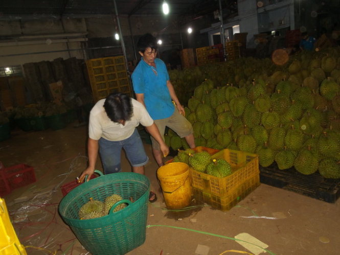 Hai công nhân bị bắt quả tang đang 