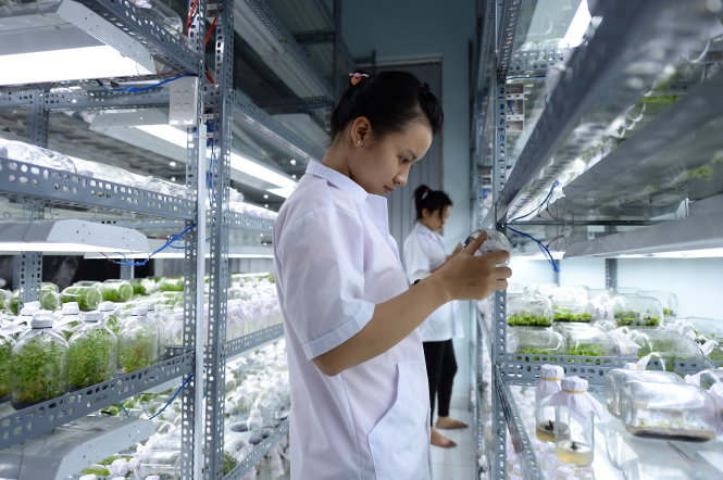 Cần giải pháp khuyến khích nghiên cứu khoa học -Thuận Thắng