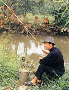 F2e1D4Mv.jpg