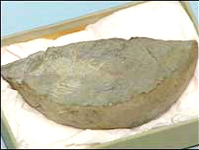 vu5b4l92.jpg