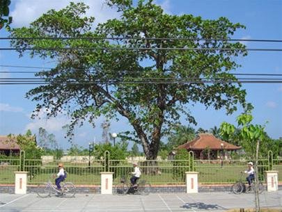 mOfquGU5.jpg