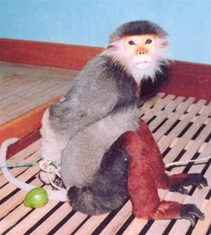 4QIRQTU7.jpg