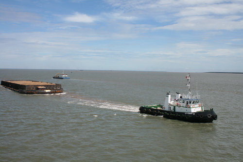 m61cZHRF.jpg