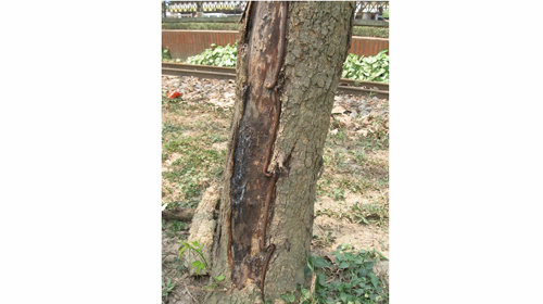 ULgpAo3g.jpg