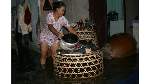 T4Gw2n5m.jpg