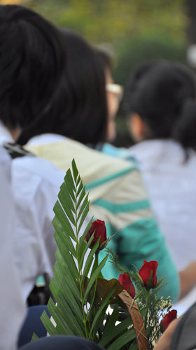 A2LENq1O.jpg
