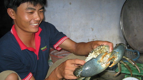 fQa33tT8.jpg