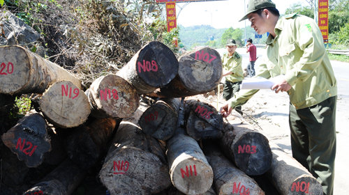 J0uJ9Mg7.jpg