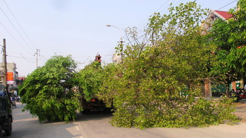 kpnu0O7r.jpg