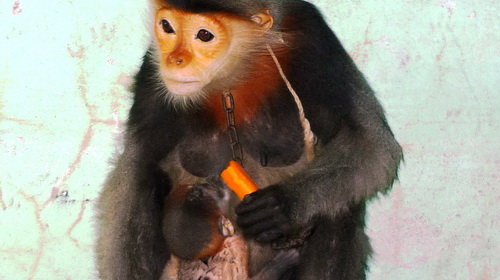 n1PTg9CJ.jpg