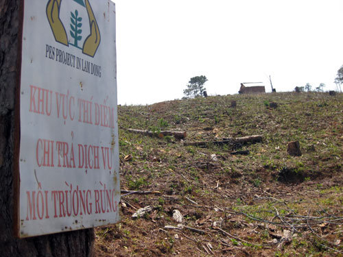 jf7JzWqh.jpg
