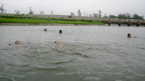 VBIbRHoI.jpg