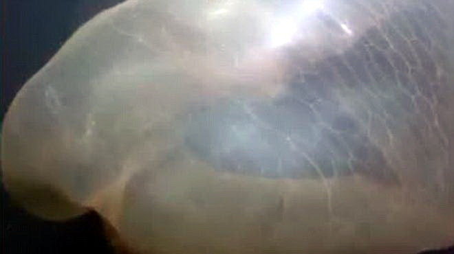 Fd8QRgHx.jpg