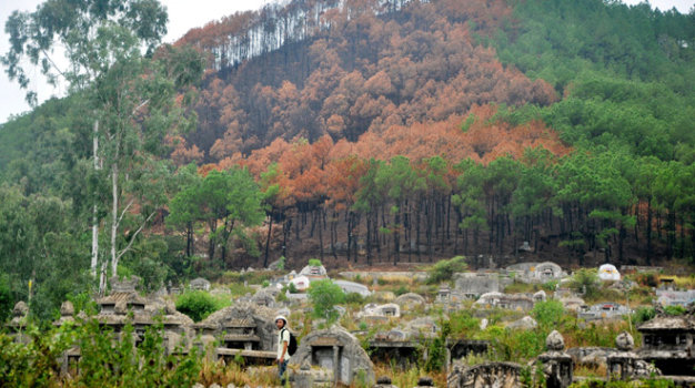 XUBegx1m.jpg