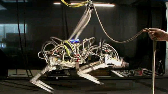 MPGH1XN4.jpg