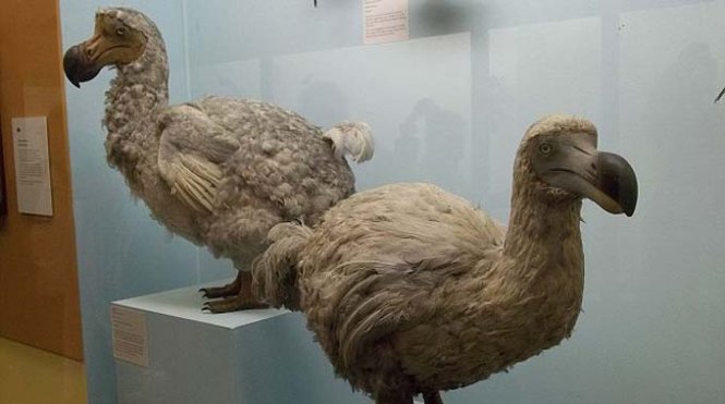 lIetvUMW.jpg