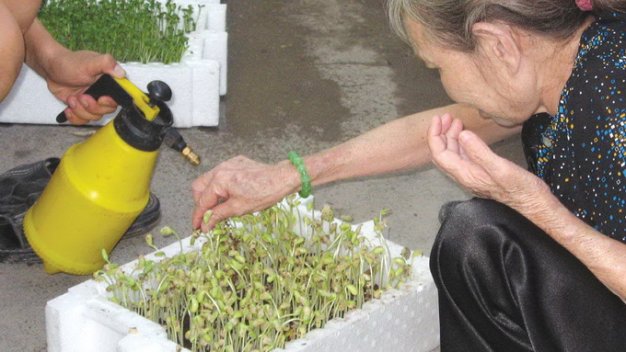 rW0nU6Op.jpg