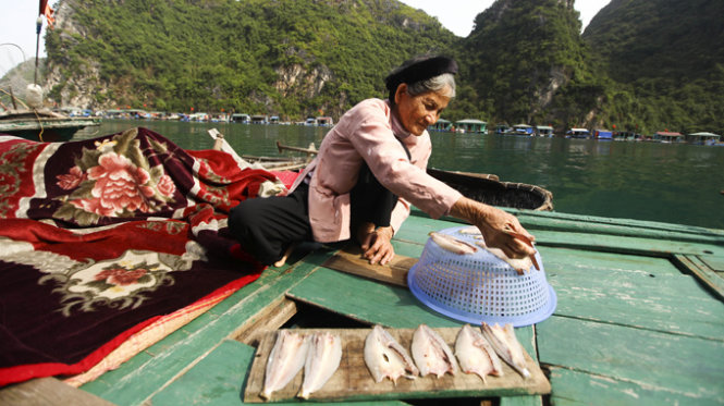 Một bà cụ phơi cá tại lán bè của gia đình