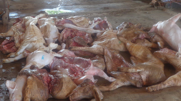 zGlPdLqE.jpg