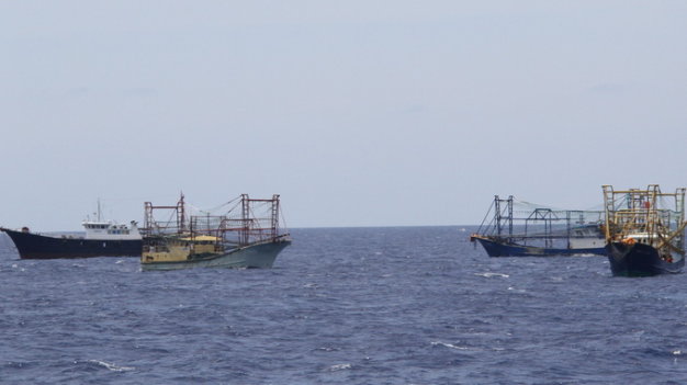 pJ59YC5F.jpg