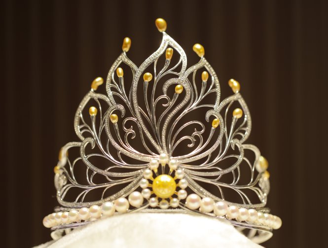 Cá vàng 'lái xe' lập kỷ lục Guinness - Ảnh 2.