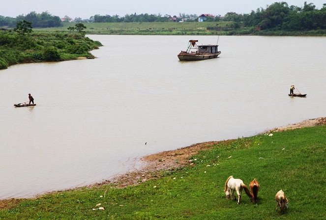 hinh-6-1440390517.jpg